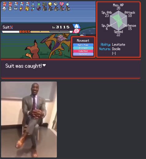 smogon dumb visualizer.
